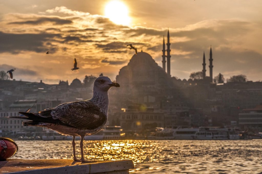 Turkey